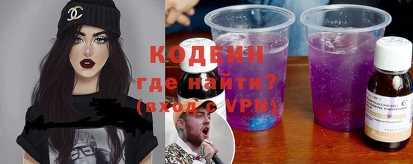 хмурый Покачи