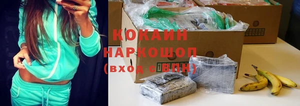хмурый Покачи