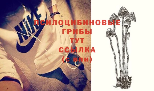 хмурый Покачи