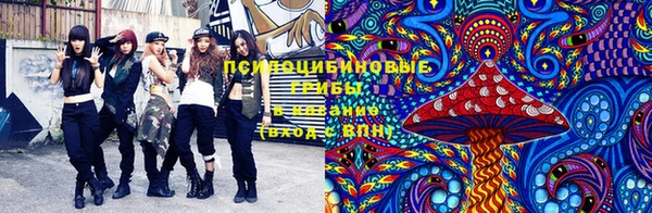 мяу мяу мука Абдулино