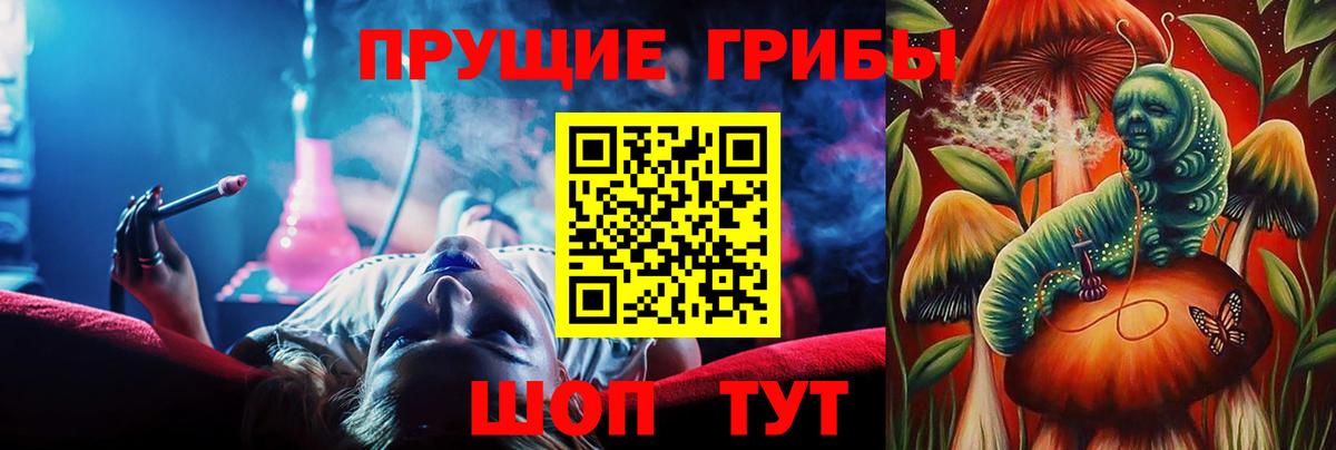 Янаул  Галлюциногенные грибы Psilocybe  Вход с VPN 